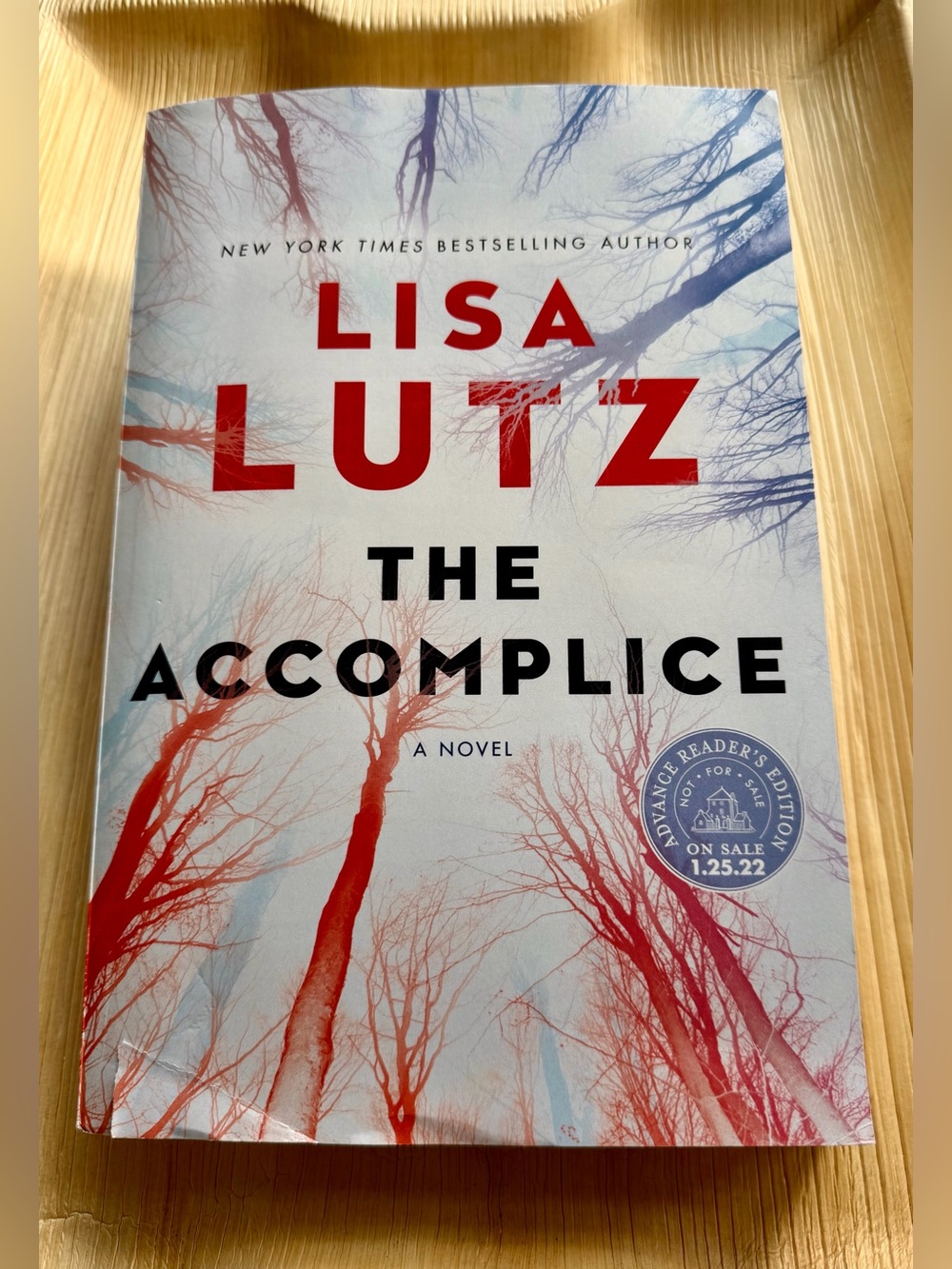The Accomplice | Toxic Friendship But Make It Murdery | Lisa Lutz ARC